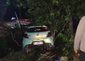 Mobil Honda Brio yang alami laka tunggal di jalur trans sulawesi. Foto: Dok istimewa/kendarinesia.